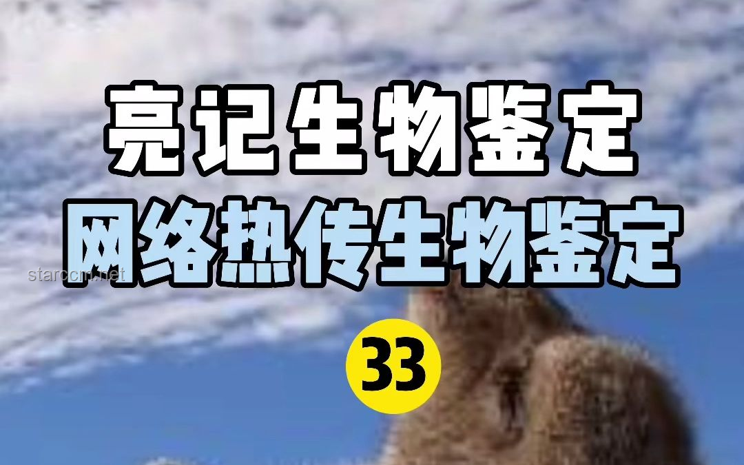 网络热传生物鉴定54：揭秘生物世界的奇妙与误解